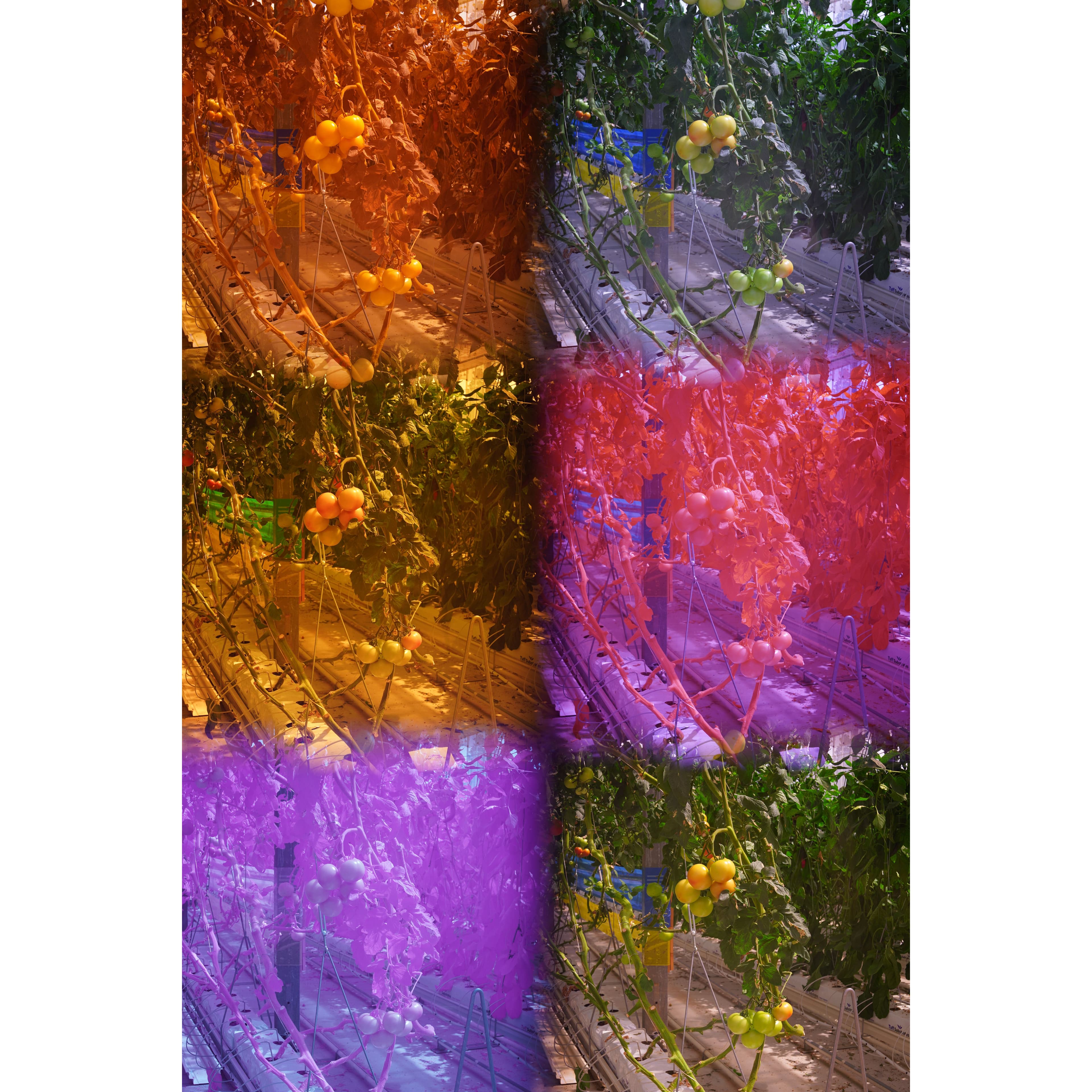 Industrial 3D printing in action supporting agri-robotics development in Abu Dhabi by Kausora Technologies